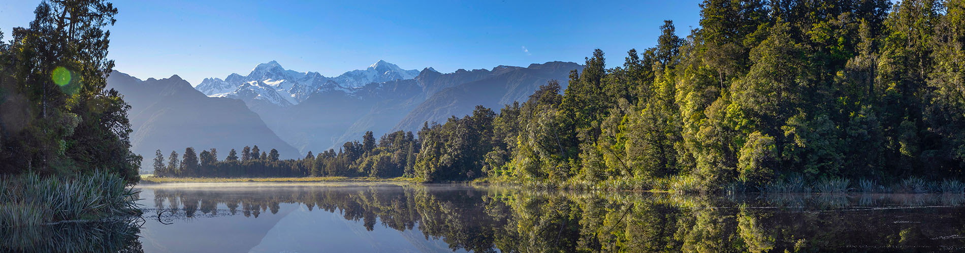 carbon credit traders new zealand
